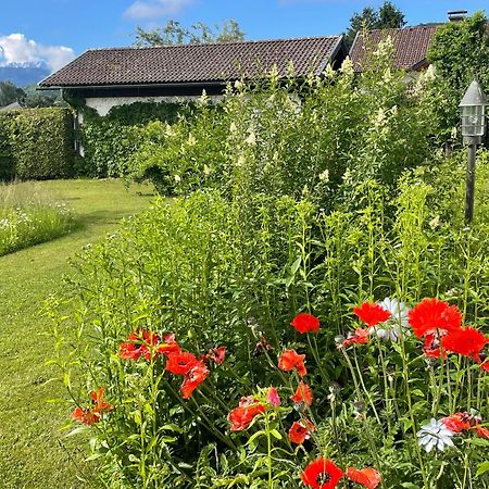 Haus Bergblick Daire Villach Dış mekan fotoğraf