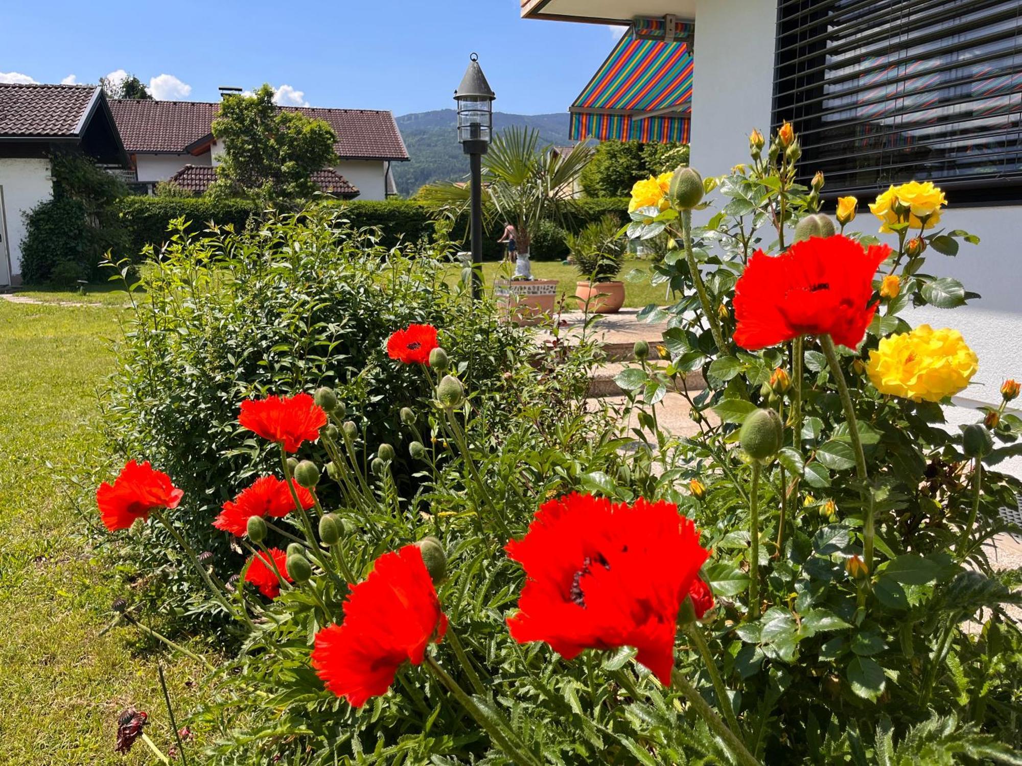 Haus Bergblick Daire Villach Dış mekan fotoğraf